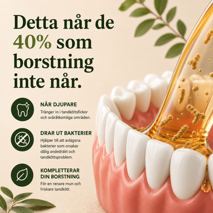ARKA Morning Ritual